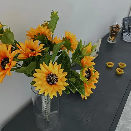 Apulian Apartamento Valenzano